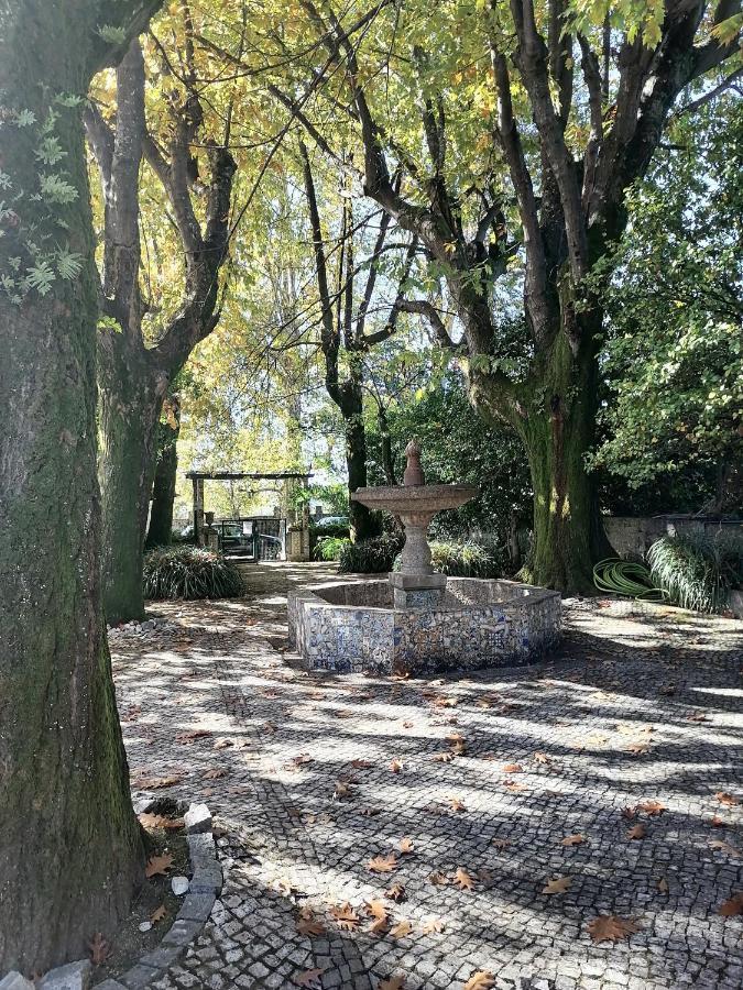 Camelia Rooms Guimaraes Bagian luar foto